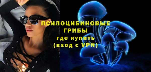 спиды Краснослободск