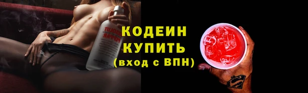 дмт Корсаков