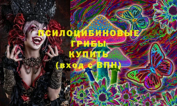 амф Костерёво