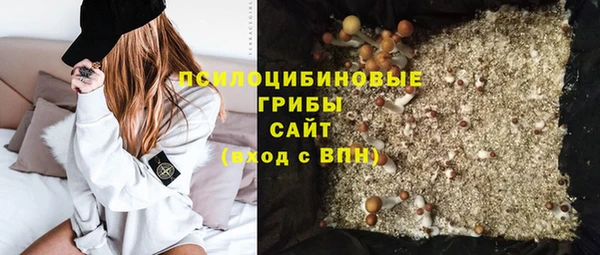 спиды Краснослободск